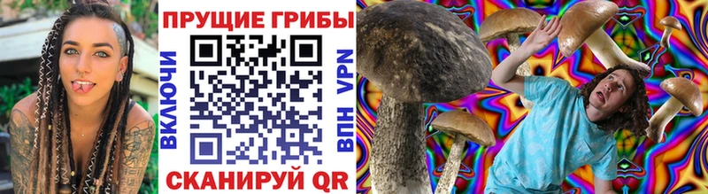Галлюциногенные грибы Cubensis  Купить закладки  Михайлов 